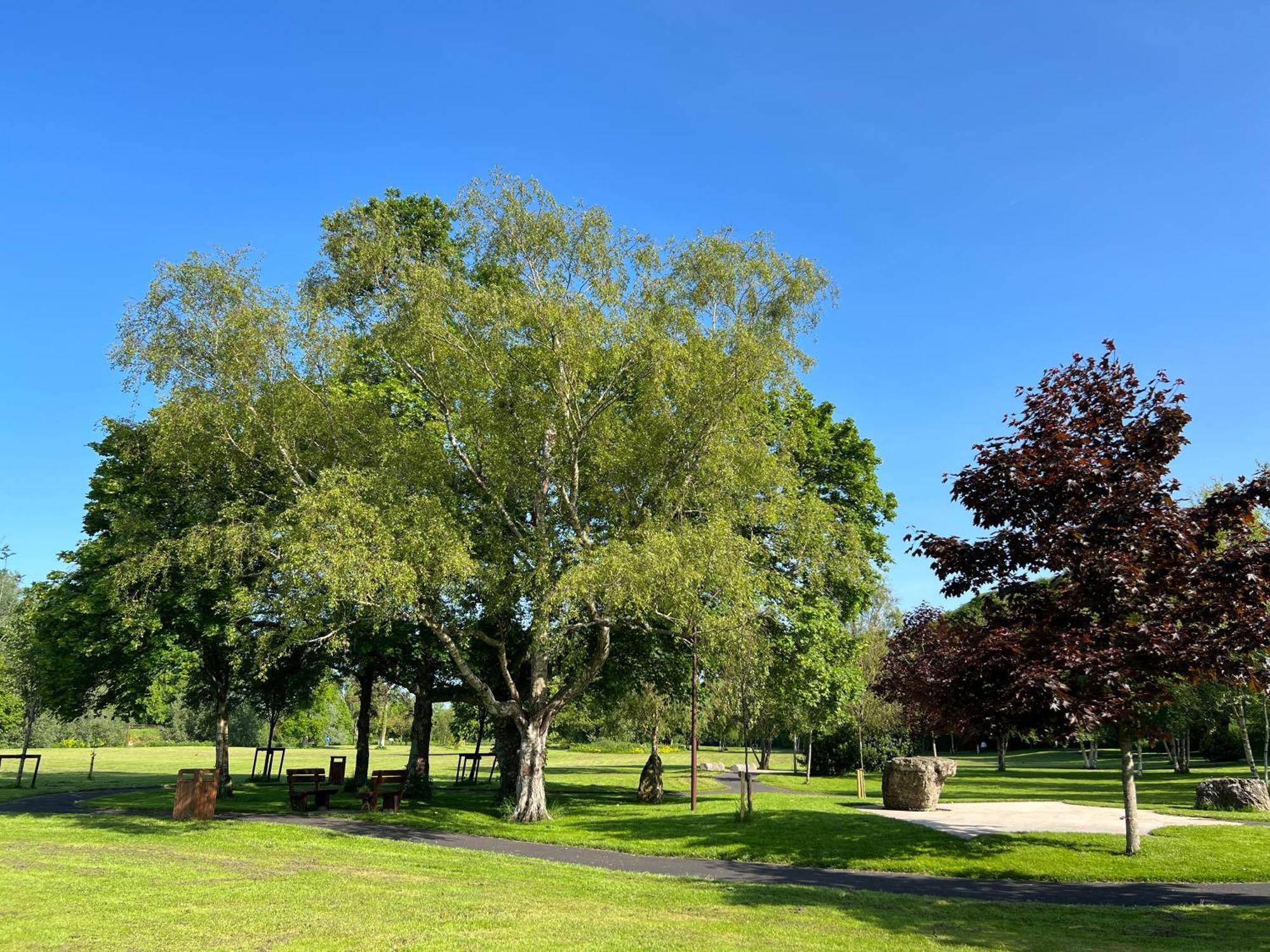 'Maigue View' By The River Croom ภายนอก รูปภาพ